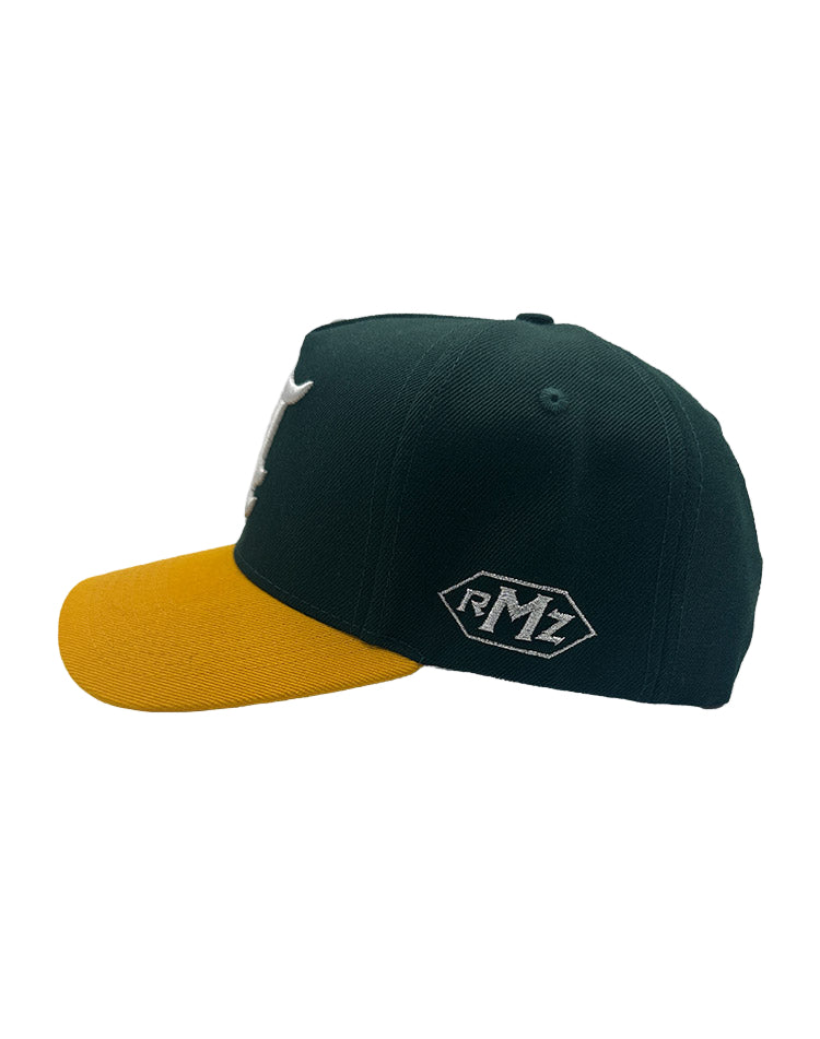 RUMORZ A'$ CLASSIC UPSIDE DOWN RMZ CAP GREEN YELLOW