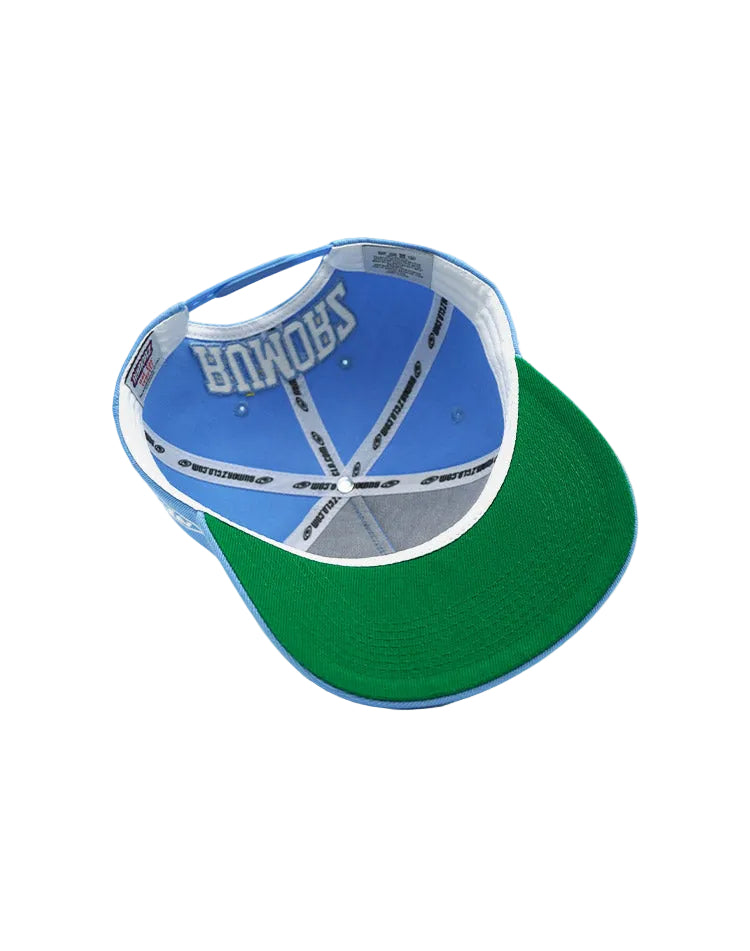 RUMORZ NY BUTTERFLY UPSIDE DOWN RMZ CAP BABY BLUE