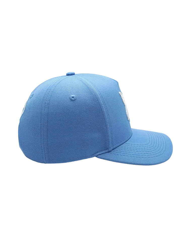 RUMORZ NY BUTTERFLY UPSIDE DOWN RMZ CAP BABY BLUE