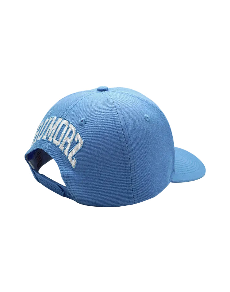 RUMORZ NY BUTTERFLY UPSIDE DOWN RMZ CAP BABY BLUE
